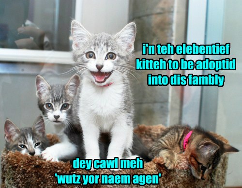 Teh Shorter Naemz Musta Bin Taek'n - Lolcats - Lol 