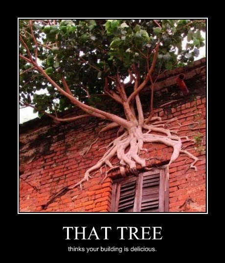 One Industrious Tree - Very Demotivational - Demotivational Posters ...