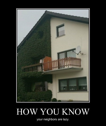 They Forgot to Shave Their House - Very Demotivational - Demotivational ...