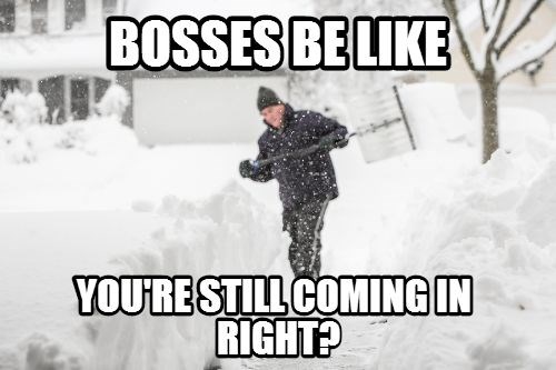 bosses be like meme snow