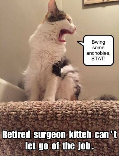 Retired doctors have a hard time adjusting. - Lolcats - lol | cat memes ...