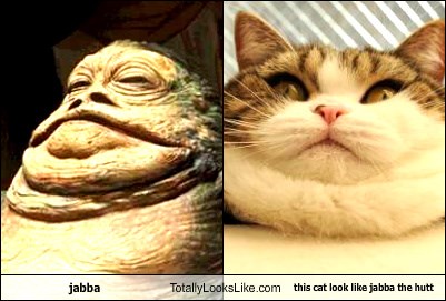 jabba the hutt face
