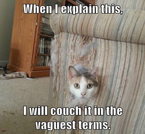 Cushion the Shock - Lolcats - lol | cat memes | funny cats | funny cat ...