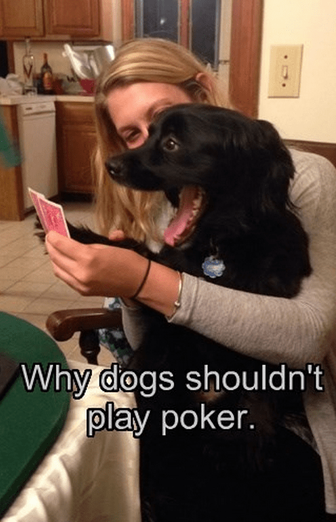 Poker bluff fails