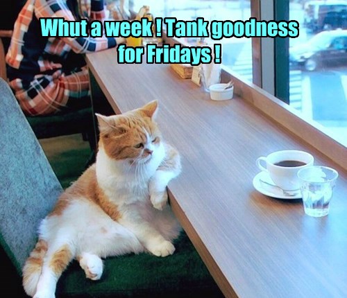 Friday: Start Late and Leave Early - Lolcats - lol | cat memes | funny