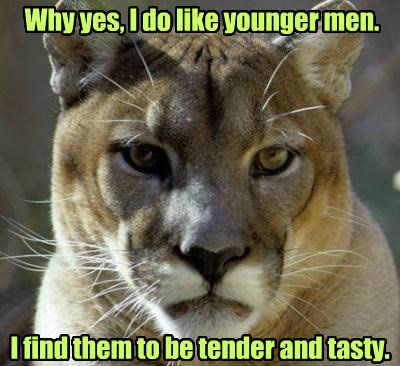 You Say Cougar Like It's A Bad Thing - Animal Comedy ...