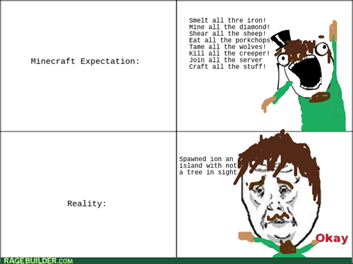 Minecraft Expectations Vs Reality Rage Comics Rage Comics
