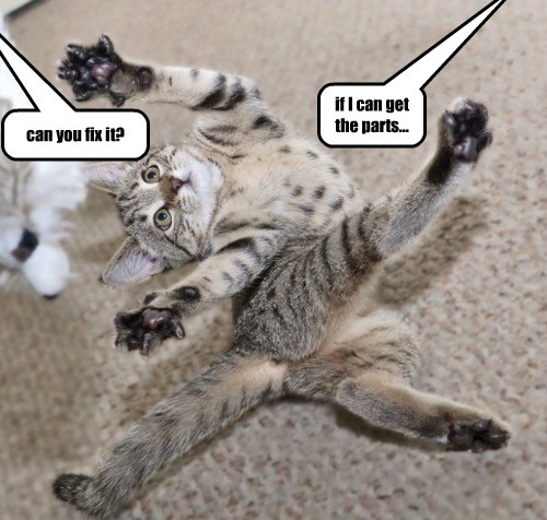 Your Lolcat is Overheated - Lolcats - lol | cat memes | funny cats ...