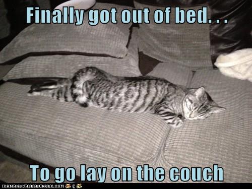 Welcome to Monday - Lolcats - lol | cat memes | funny cats | funny cat ...