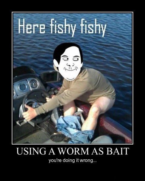 bait-fish-funny-worm-8451647744