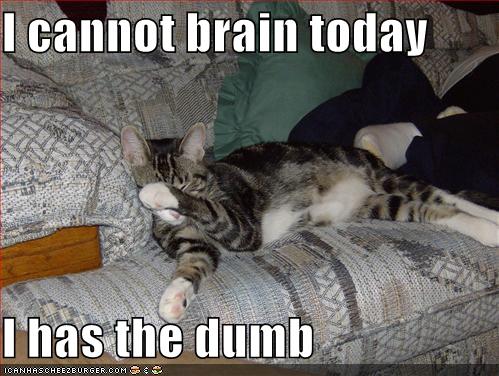 I cannot brain today I has the dumb - Cheezburger - Funny Memes | Funny ...