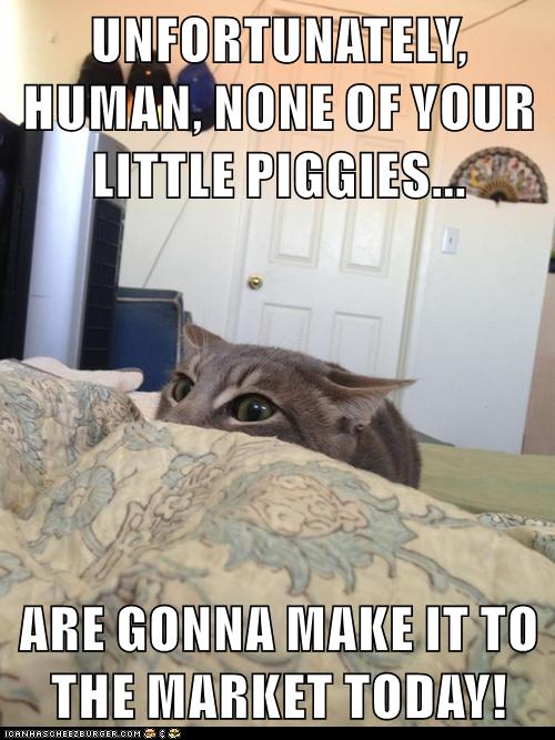 you-gonna-go-wee-wee-wee-human