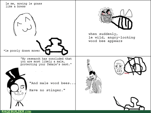 Know Your Bee Facts - Rage Comics - rage comics