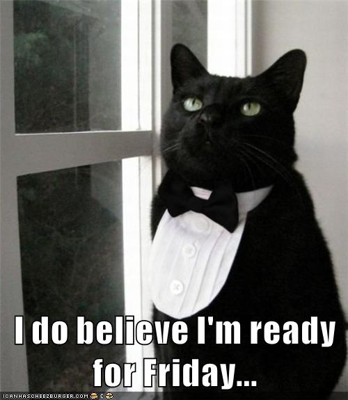 I do believe I'm ready for Friday... - Lolcats - lol | cat memes ...