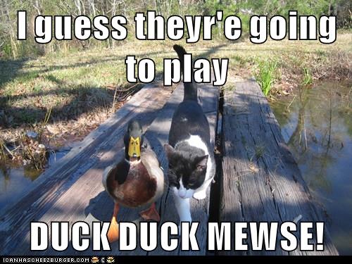 Lolcats - duck - LOL at Funny Cat Memes - Funny cat pictures with words ...