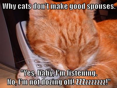 Cat Lady's Would Disagree - Lolcats - lol | cat memes | funny cats ...