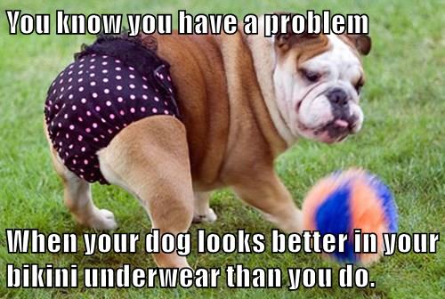 Bikini Body Bulldog - I Has A Hotdog - Dog Pictures - Funny pictures of ...