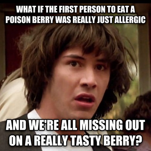 funny-memes-turns-out-that-satans-testicle-makes-really-nice-berry-pie