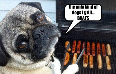 dog grill