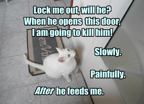 Prioritizing Is Important - Lolcats - lol | cat memes | funny cats ...