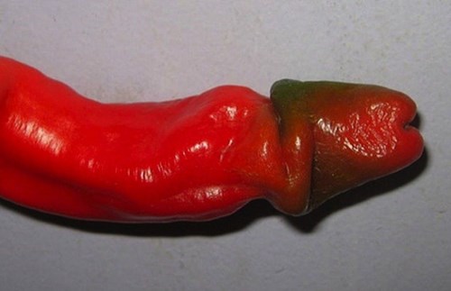 Pepper penis deals