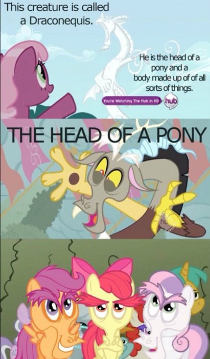 What a Terrifying Pony - My Little Brony - my little pony 