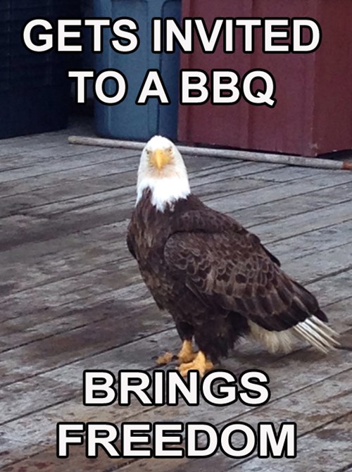 Memebase - eagles - Page 2 - All Your Memes In Our Base - Funny Memes -  Cheezburger