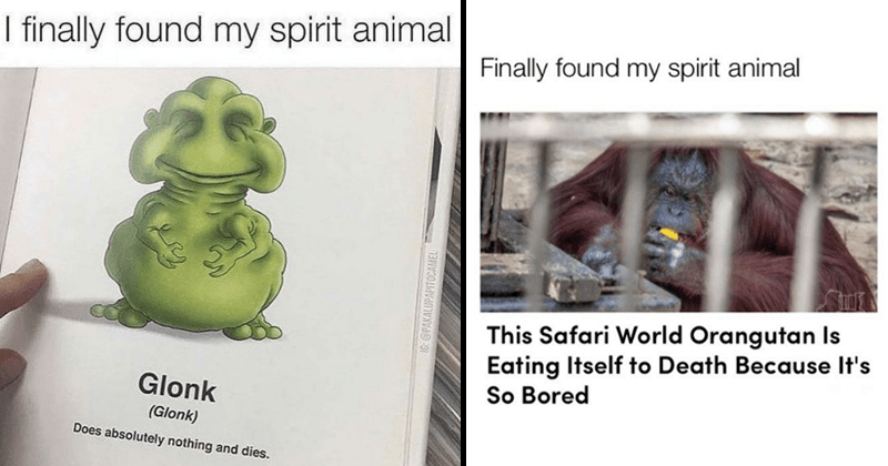 17 Spirit Animal Memes & Tweets For All You Self-Deprecating Clowns