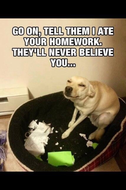 Motivation to do my homework image