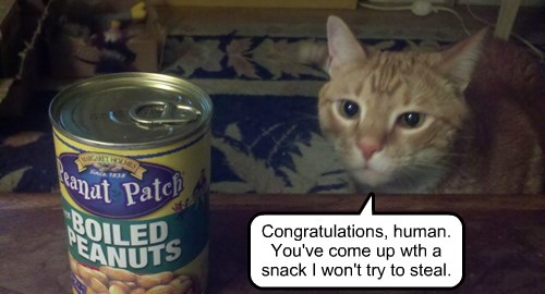 Pork Rind Memes Pork Cracklings Disaster Girl Meme Generator