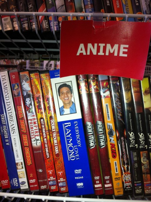 Cartoons & Anime - Everybody Loves Raymond - Anime and 