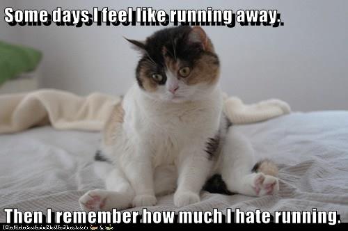 Some days I feel like running away. Then I remember how much I hate ...