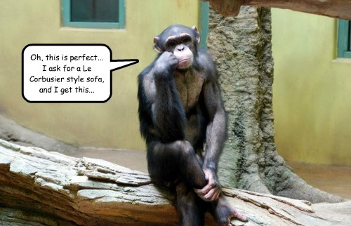 Discerning Primate - Animal Comedy - Animal Comedy, funny animals ...