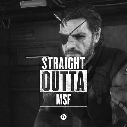 Soldiers Without Borders Video Games video game memes, Pokémon GO