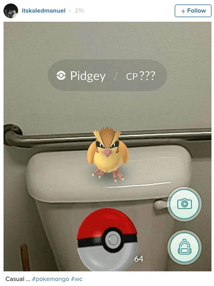 Pin by Tαɳყα on Pokemon  Pokemon funny, Pokemon, Pokemon go