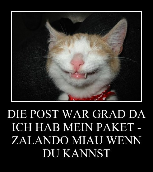 Die Post War Grad Da Ich Hab Mein Paket Zalando Miau Wenn Du