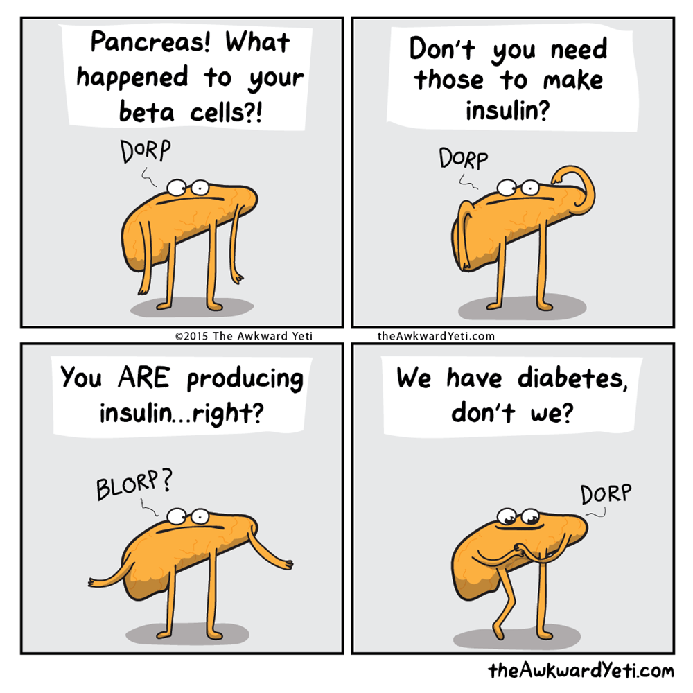 The Pancreas is an Idiot - Web Comics - 4koma comic strip, webcomics