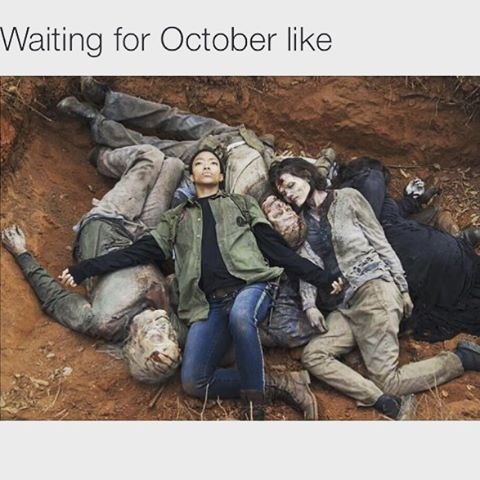 All I Want Is Walkers The Walking Dead The Walking Dead Meme Twd Memes Dead Memes Spoilers Alerts