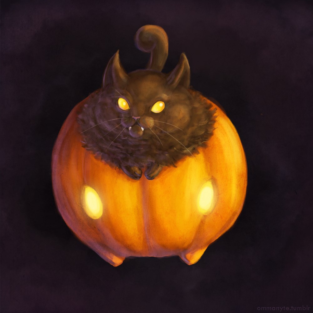 Pumpkapoo is a Cat on a Pumpkin Pokémemes Pokémon