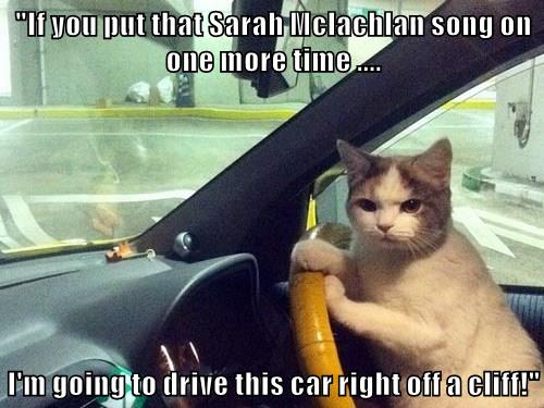 I'm Not Kidding - Lolcats - lol | cat memes | funny cats | funny cat ...