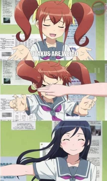 Pin by Ari on Memes de anime  Anime memes, Funny anime pics