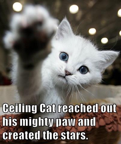 Ceiling Cat Reached Out His Mighty Paw