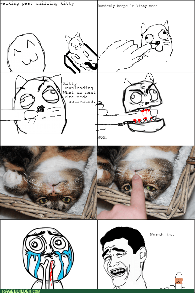 Pls kitty pls. - Rage Comics - rage comics