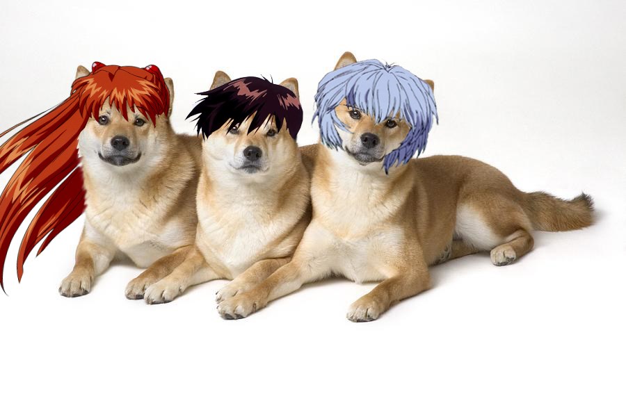 Evil Doge On Twitter Memes Para Entender Evangelion