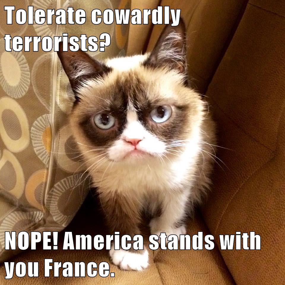 Tolerate Cowardly Terrorists NOPE America Stands With You France