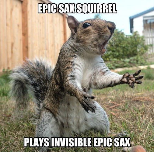 EPIC SAX!!! - Animal Capshunz - Funny Animals | Animal Captions