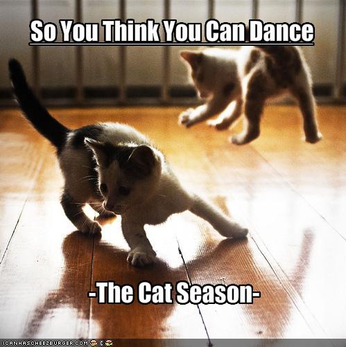So You Think You Can Dance Cheezburger Funny Memes Funny Pictures