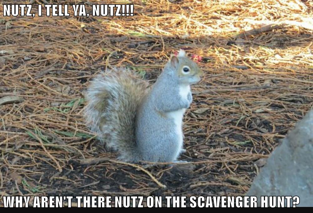 NUTZ, I TELL YA, NUTZ!!! WHY AREN'T THERE NUTZ ON THE SCAVENGER HUNT ...