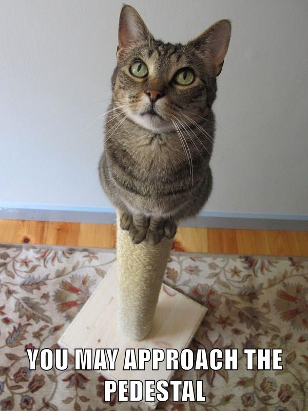 YOU MAY APPROACH THE PEDESTAL Lolcats lol cat memes funny cats