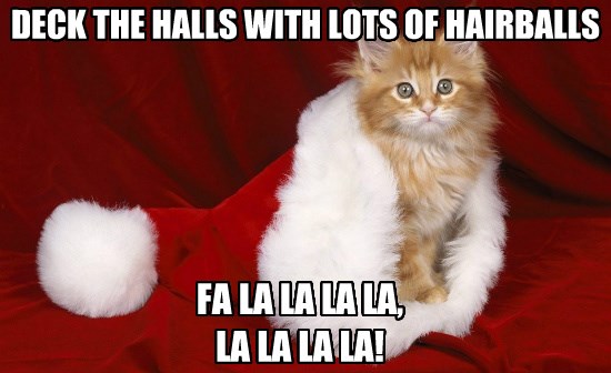 DECK THE HALLS WITH LOTS OF HAIRBALLS - Lolcats - lol | cat memes | funny cats | funny cat ...